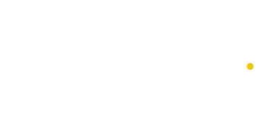 S29 CONSULTING